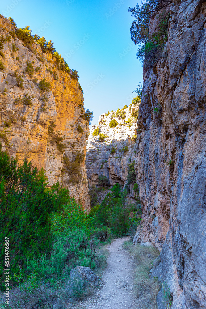 Fototapeta premium Ruta botanica del rio Ebrón en Teruel