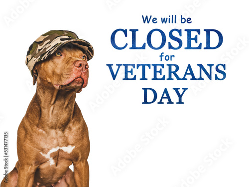 Signboard with the inscription We will be closed for Veterans Day. Adorable puppy and American Flag. Closeup, indoors. Congratulations for family, relatives, friends and colleagues. Pet care concept