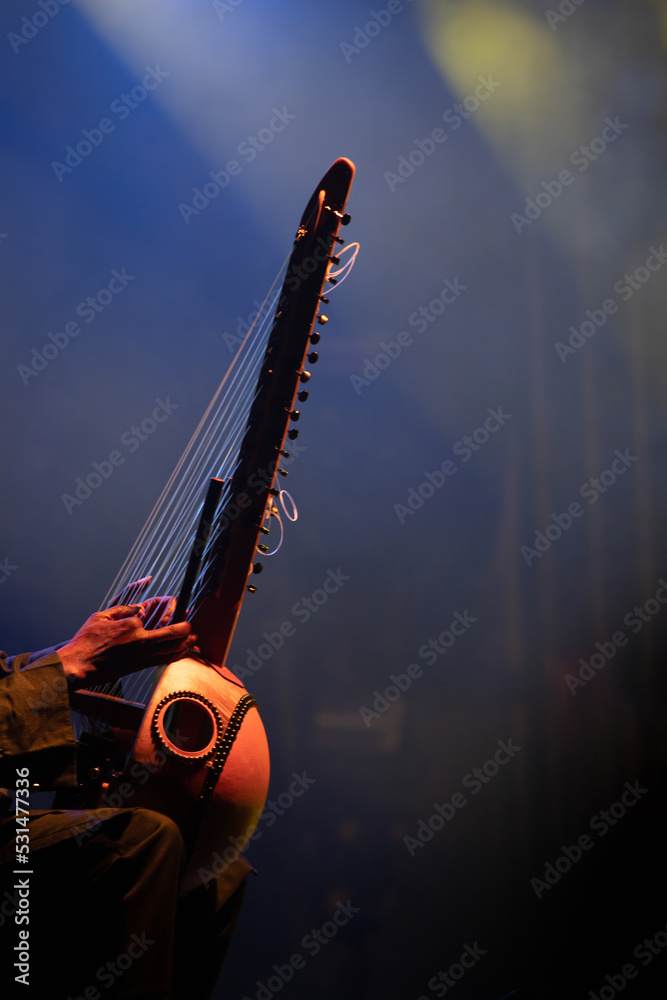 Muscian playing a string insturment called the Kora. - obrazy, fototapety, plakaty 