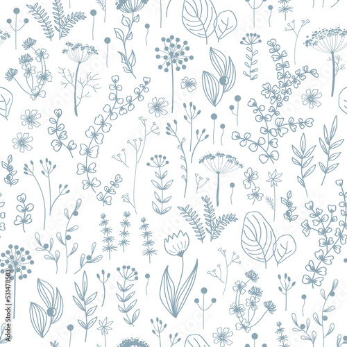 Fototapeta Naklejka Na Ścianę i Meble -  Autumn meadow herbs and flowers, floral seamless pattern. Vector doodle hand drawn plants