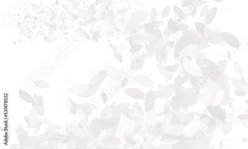 png background with space for text with leaf ornament