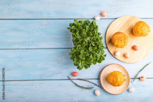 Homemade cakes with chocolate eggs and borage microgreen on a blue  top view.