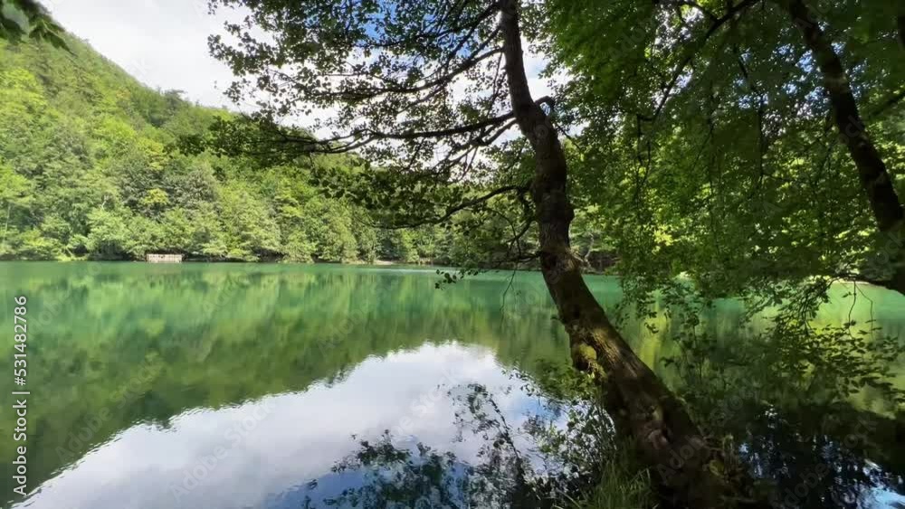 panoramic view of lake surrounded by forest in Yedigoller National Park Turkey panoramic view of lake surrounded by forest in Yedigoller National Park Turkey