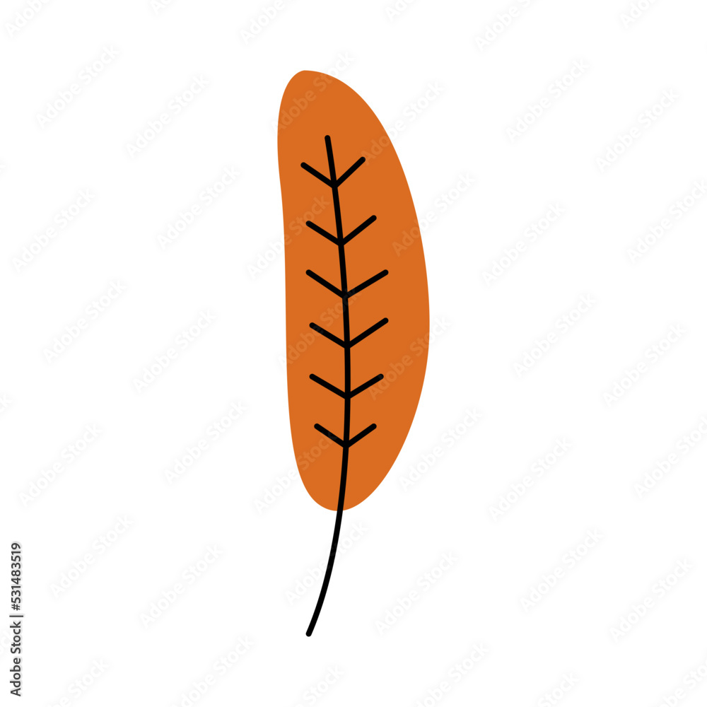 autumn leaf foliage autumn leaf foliage