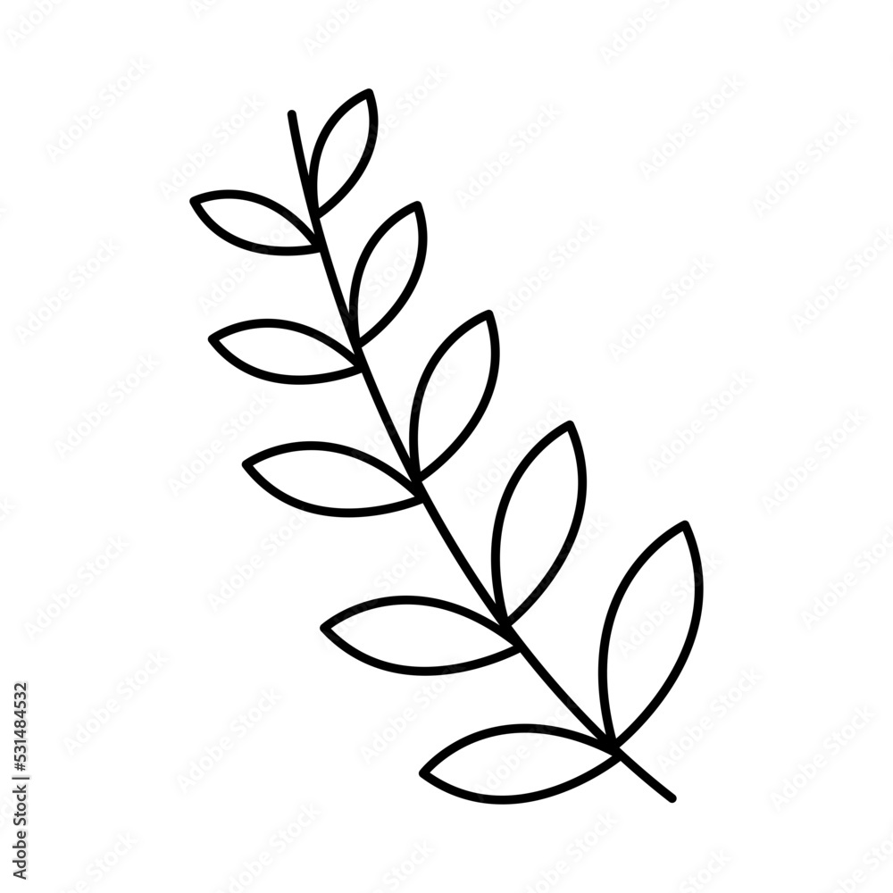 autumn leaf foliage autumn leaf foliage