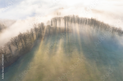 Panorama of a forest shrouded by low clouds. Rays of the sun. Autumn weather and fog in mountain valleys. Beauty of nature in conceptual background. Universal use.