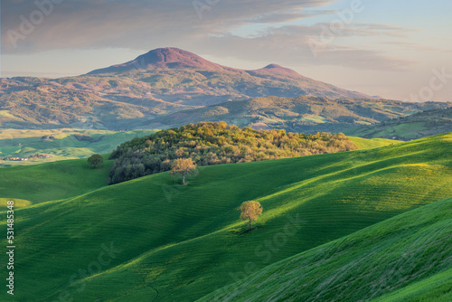 Landscape of the Val d'Orcia countryside with picturesque green fields, yellow flowers and Mount Amiata in the background, Tuscany, Italy photo