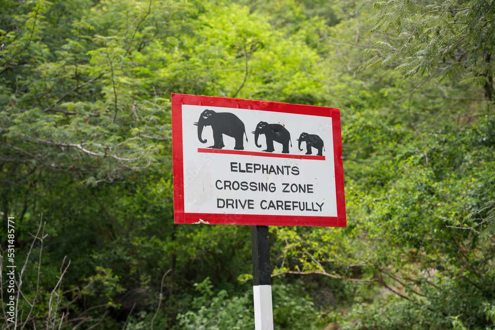 Elephant crossing Zone Sign Board