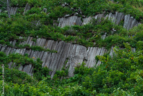 sheer columnar basalt cliffs overgrown with lush vegetation