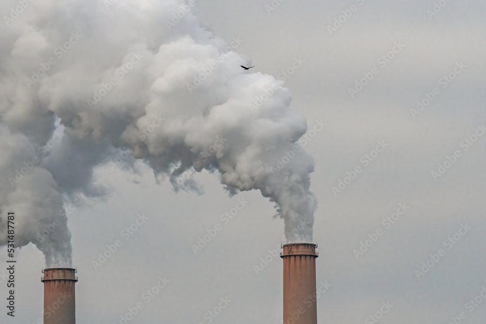 Smoke billows from two adjacent smokestacks while a buzzard flies overhead