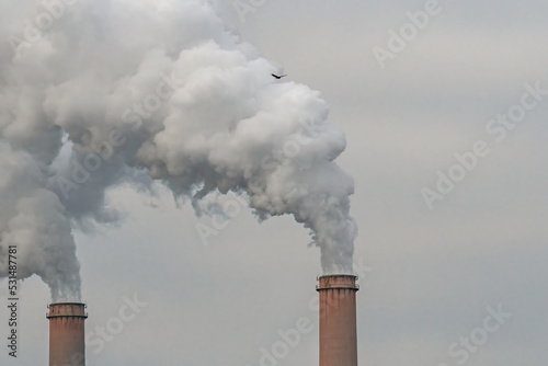 Smoke billows from two adjacent smokestacks while a buzzard flies overhead