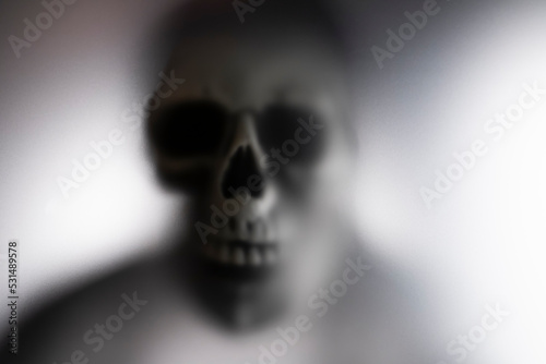 Εκτύπωση καμβά Shadow blur of horror skeleton. Halloween background.