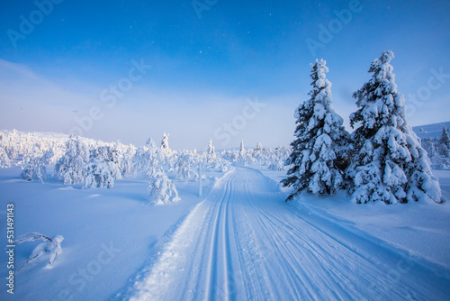 Winter landscape in Pallas Yllastunturi National Park, Lapland, Finland