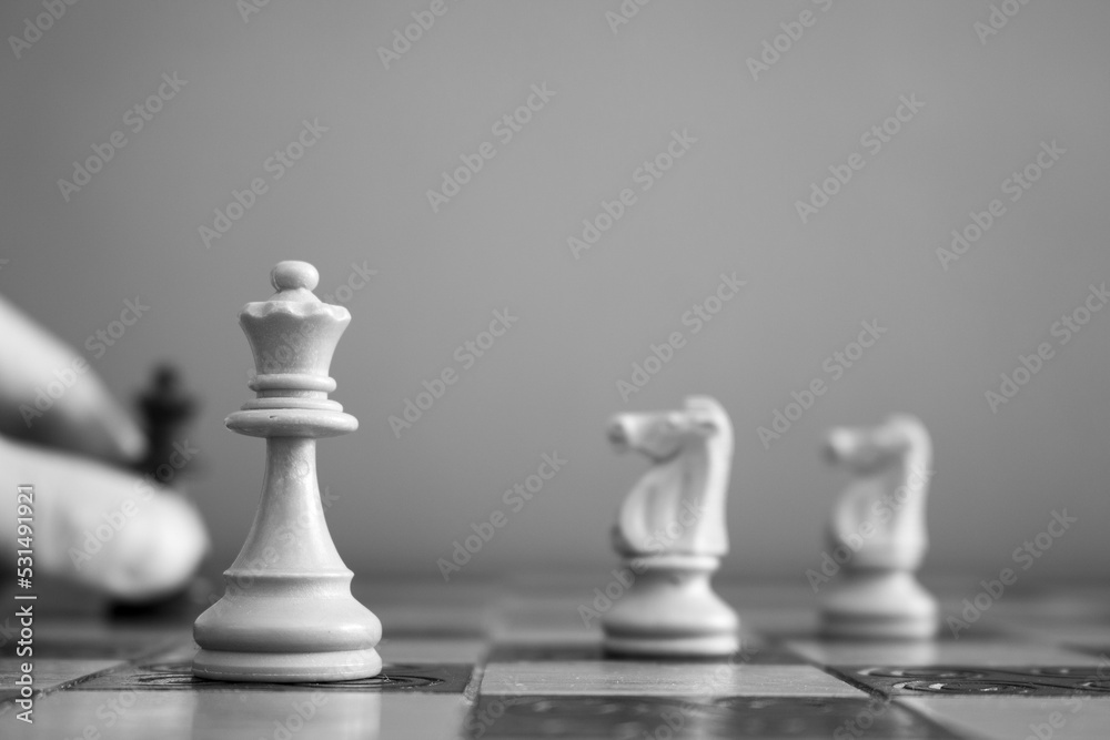 Scacchi fotografati su una scacchiera Scacchi fotografati su una scacchiera