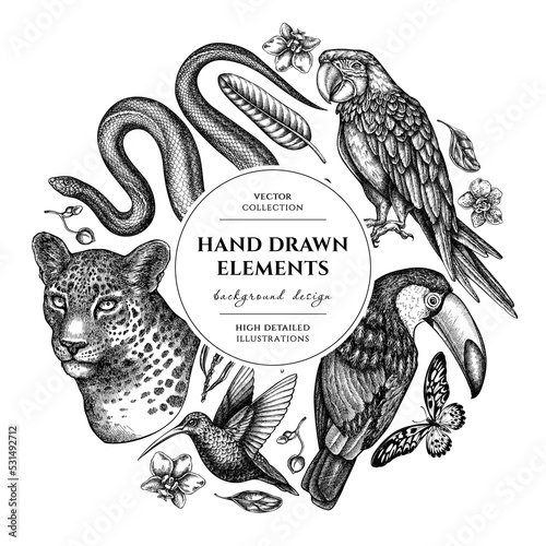 Tropical animals circle design. Hand drawn leopard, snake, hummingbird, toucan, scarlet macaw, african giant swallowtail, strelitzia, orchid, phalaenopsis.