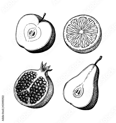 Fruits ink sketch set.