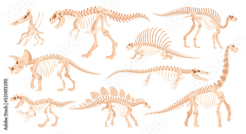 Cartoon dino skeleton  ancient dinosaur fossil bones. Jurassic raptors  tyrannosaurus  velociraptor and spinosaurus flat vector illustrations set. Archaeological fossil skeletons