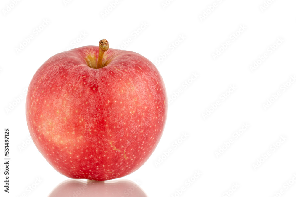 One ripe red apple, macro, isolated on white background. One ripe red apple, macro, isolated on white background.