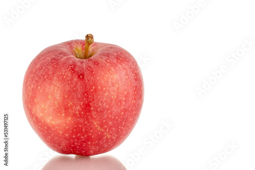 One ripe red apple, macro, isolated on white background.
