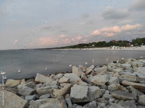 2022-06-02 embankment of the baltic sea with swans in early spring on the sunset. city ustka, poland