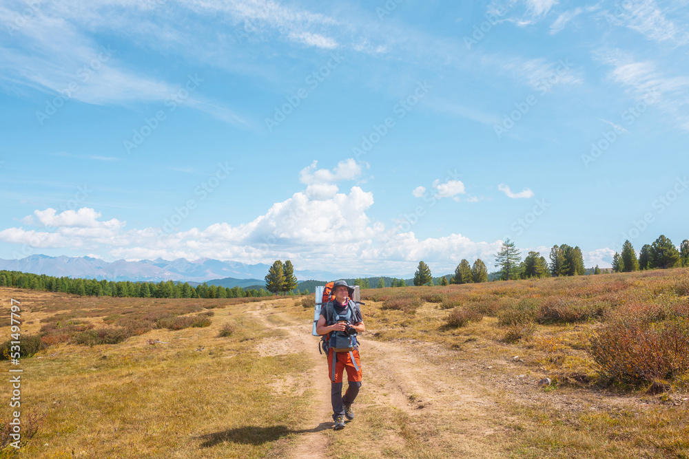 Obraz premium Alone traveler with large backpack walks along hiking trail on sunlit high mountain plateau under white clouds in blue sky. Backpacker with photo camera in autumn mountain trekking in good weather.