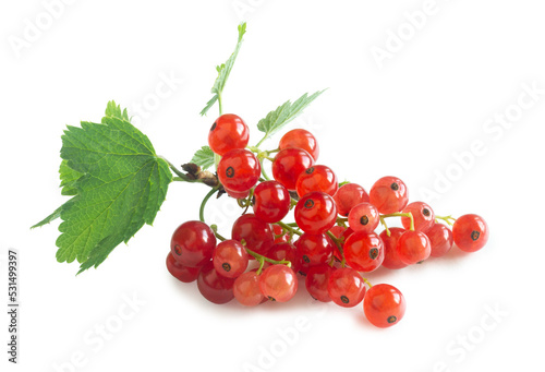 Bunch of red currant (Ribes rubrum) isolated on white