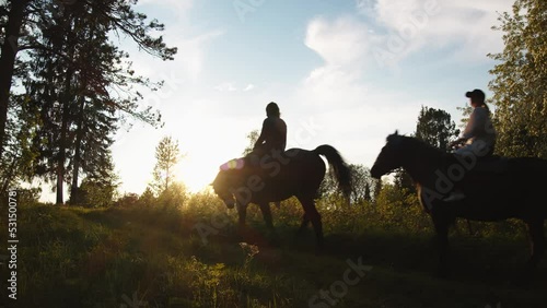 A couple of people are riding horses along a path leading into the forest. The man walks in front, the girl behind him. The weather is warm and sunny, sunset is coming soon
