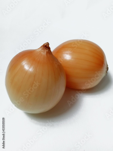fresh onion on white background
