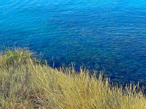 Grass and blue sea. Meadow grass on the shore of the blue sea.