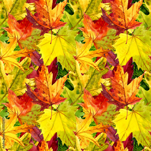 Colorful autumn leaves painted in watercolor. Autumn. Seamless pattern. Packaging design  fabrics  etc.