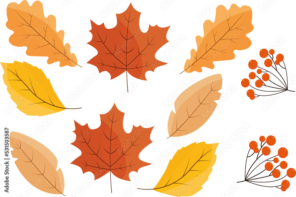 Obraz premium Jesienne liście