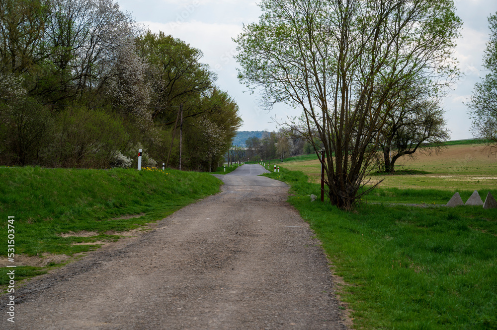 Old and empty asphalt road in the forest with a meadow.