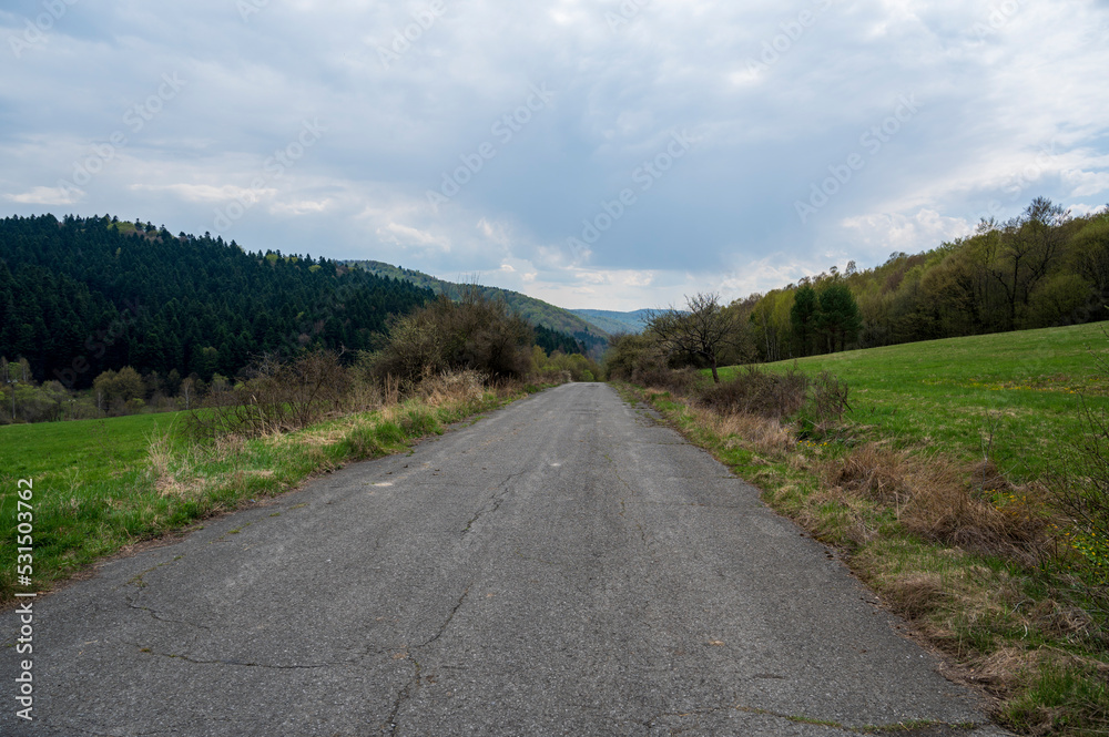 Fototapeta premium Old and empty asphalt road in the forest with a meadow.