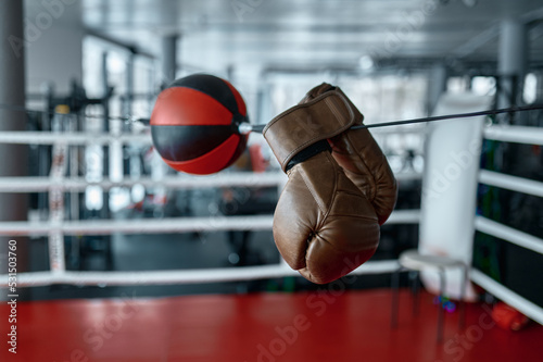 Boxing gloves hanging on speed punching ball photo