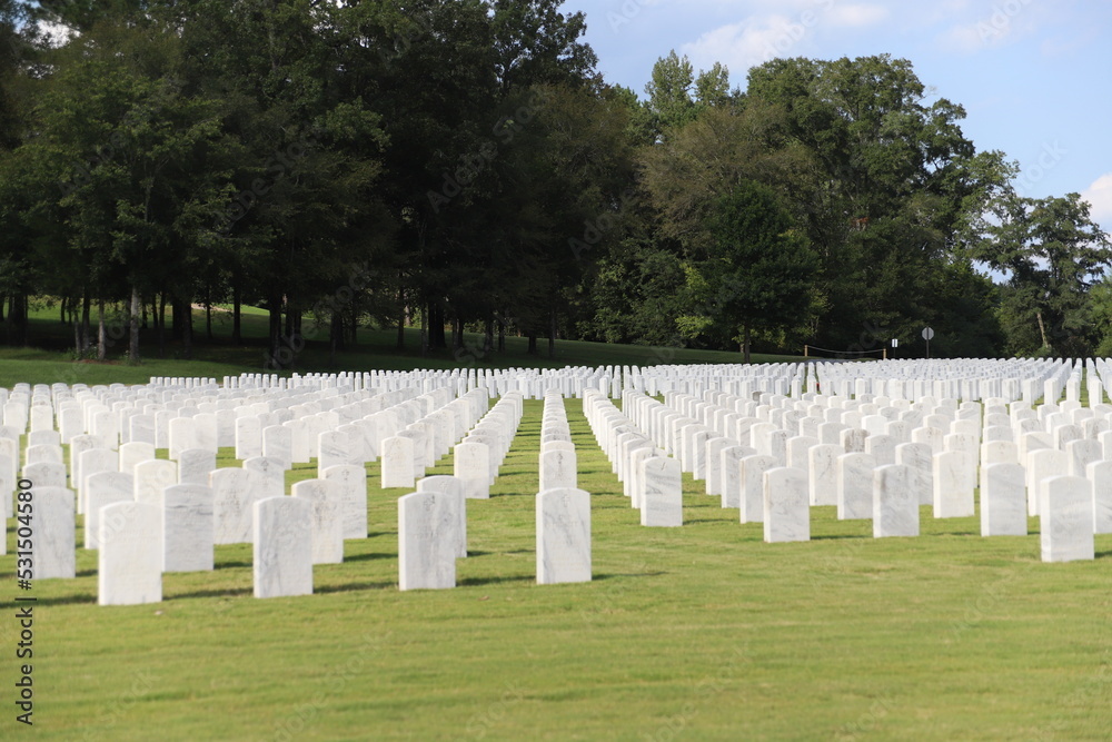 National Cemetery, with markers, head stones , and flags