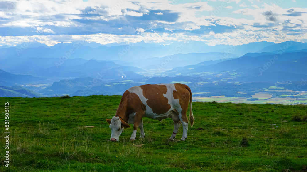 Austrian Mountains with a beautiful view and a excellent experience of nature Austrian Mountains with a beautiful view and a excellent experience of nature