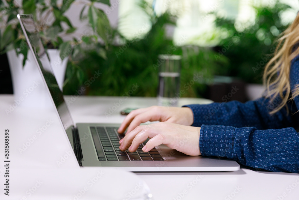 Fototapeta premium the hands of an invisible girl in a blue blouse are typing on a laptop at the table. there is a mobile phone nearby and there are many flowers in a pot. High quality photo