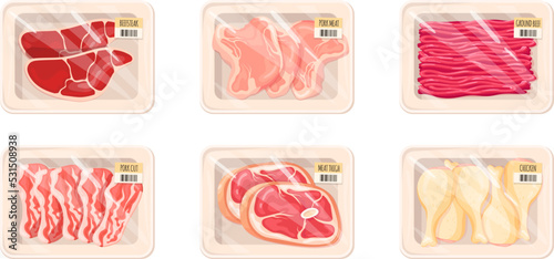 Raw meat packaging. Packaged ground beef, frozen pork fillet or chicken wrapped vacuum plastic trays counter supermarket, cut beefraw steak fresh mince product vector illustration