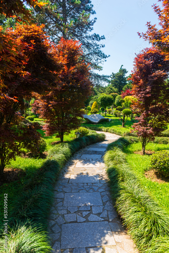 Exotic subtropical trees and plants in the park Exotic subtropical trees and plants in the park