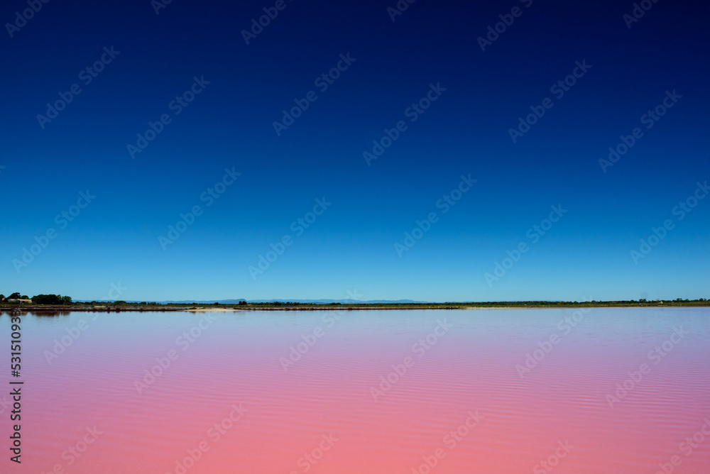 Pink salt lake and blue sky in Camargue