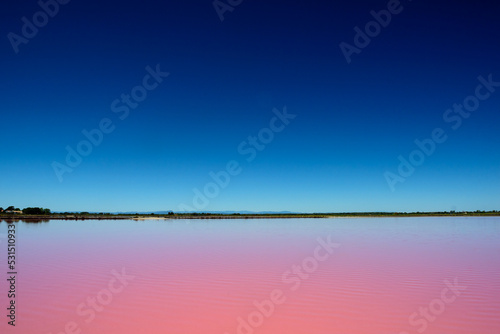 Pink salt lake and blue sky in Camargue