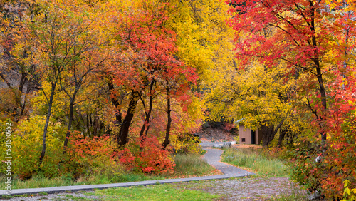 Scenic walking trail near North American fork canyon in Utah.