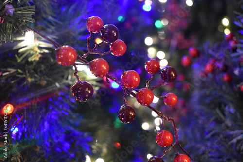 Christmas Lights