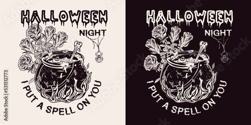 Label with witch cauldron with bubbling liquid, fire, bone, roses, spider, text Halloween Night, I put spell on you Magic potion, symbol of witchcraft. Vintage style.