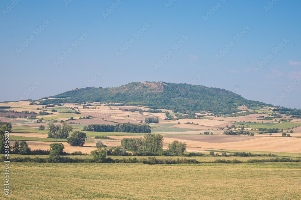 Fototapeta premium landscape in the summer
