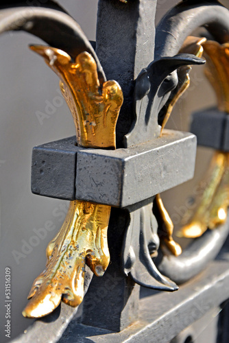 metalowy detal architektoniczny, pozłacana metalowa dekoracja, złoty metalowy ornament na bramie, Steel fence with ornaments, metal architectural detail, gold-plated architectural detail, 