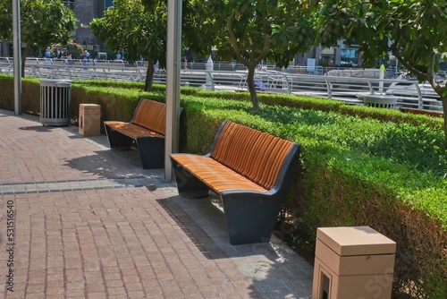 Recreation area with empty contemporary wooden benches along curved green plant fence.Urban modern public vandal-proof furniture.Public city resting area design.