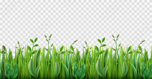 Realistic grass border. Lush strip of green lawn grass, 3d herbs isolated on transparent background, park nature plants growing, environmental pasture, horizontal meadow, utter vector concept