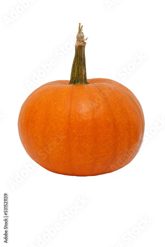Pumpkin isolated on a white background. Fresh of pumpkin.