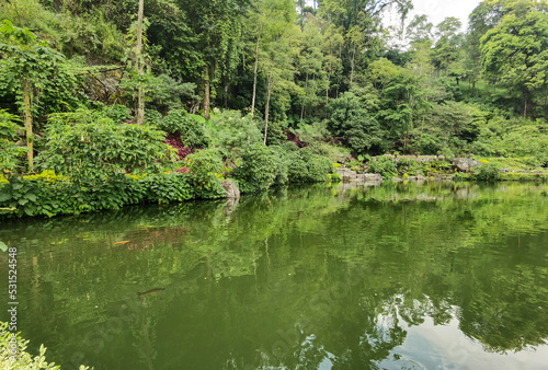 Tropical Lake View